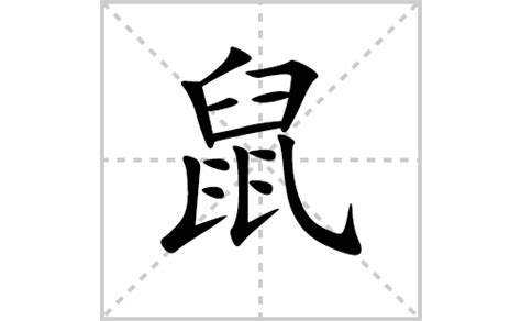 掌握鼠字正确笔画顺序，轻松写好每一个'鼠'字！ 2