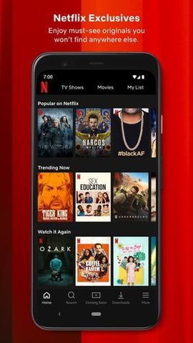 奈飞netflix安卓版 1
