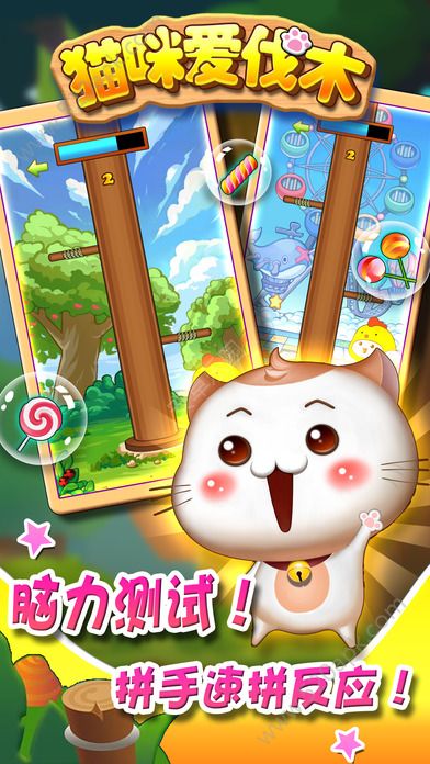 猫咪爱伐木游戏 截图4