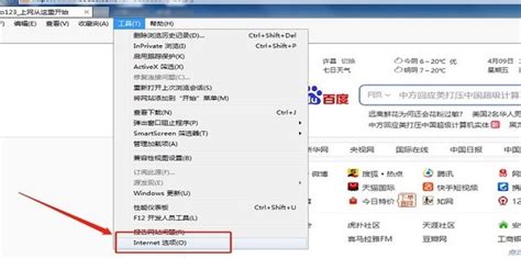 轻松学会：如何在IE浏览器中清除缓存 2