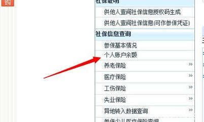 轻松掌握！如何查询社保个人账户信息 2