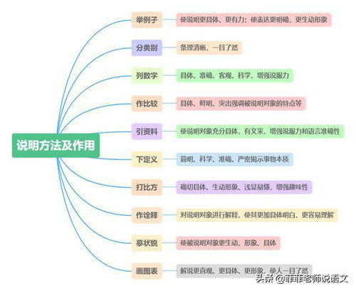 掌握说明方法的多样性与应用实效 2