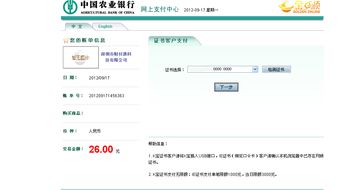 中国农业银行网银登录、付款操作与账户查询指南 3