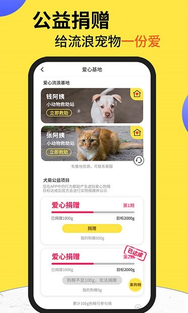 犬易宠物 1