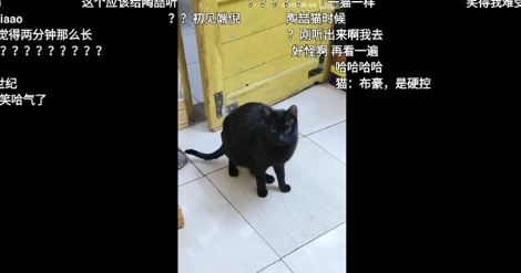 BBLL最新版本 截图2