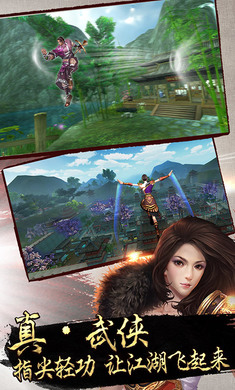 卧虎藏龙 截图4